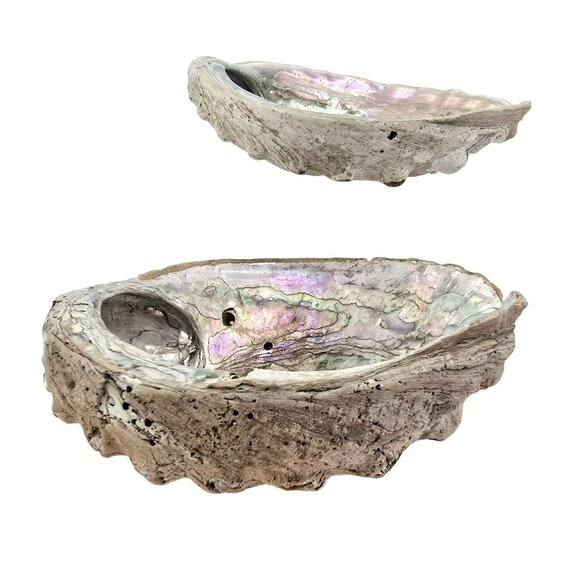 Abalone Shells Set of 2 Decorative Ocean-Themed Home Décor Art Pieces JE252 - Picture 7 of 13